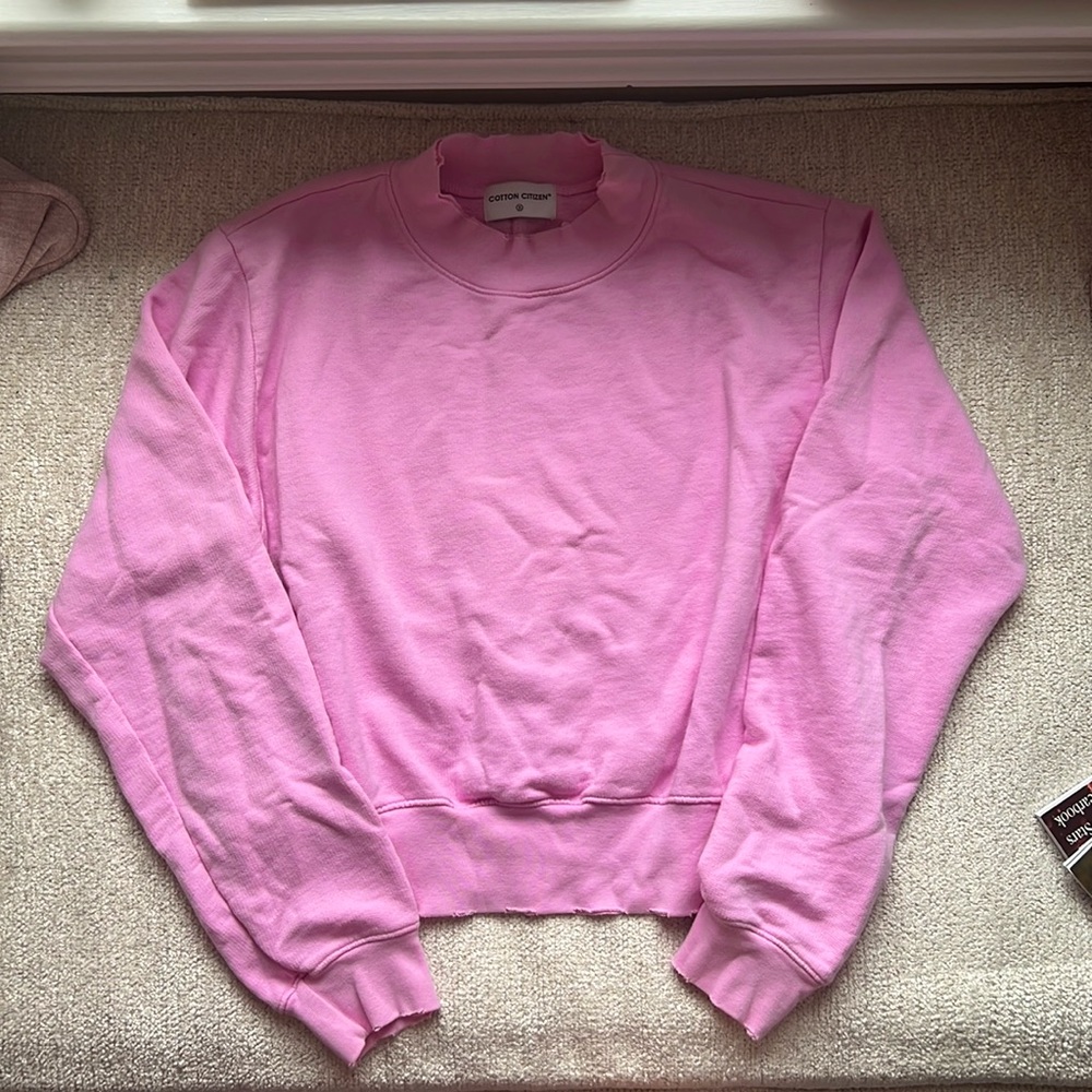 Bubblegum Pink Crewneck Hoodie (S)